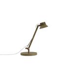 Dedicate Table Lamp