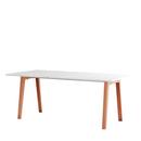 New Modern Dining Table rectangular, Metal/recycled plastic, 190 x 95 cm, Ash pink