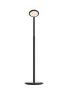 Parrot Standing Lamp, Black