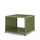 USM Haller Side Table with Side Panels, 50 cm, without interior glass panel, Olive green RAL 6003