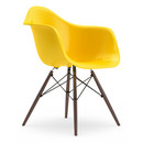Eames Plastic Armchair RE DAW, Sunlight, Without upholstery, Without upholstery, Standard version - 43 cm, Dark maple