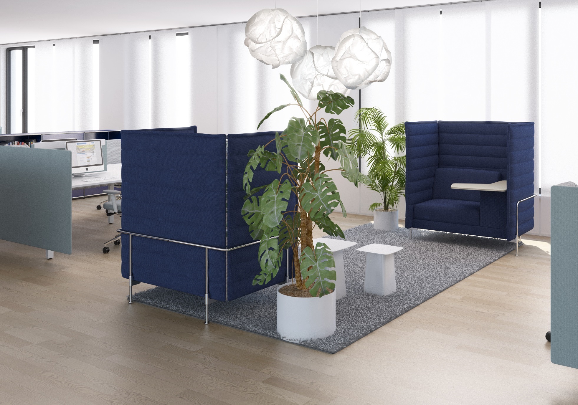 Sustainable Office plants