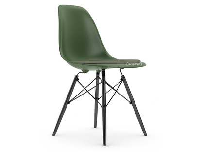 Eames Plastic Side Chair RE DSW Forest|With seat upholstery|Ivory / forest|Standard version - 43 cm|Black maple