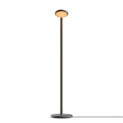 Parrot Floor Lamp, Black brass