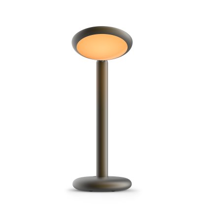 Parrot Table Lamp, Black brass
