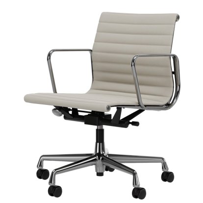 Aluminium Group EA 117, Polished, Leather Premium F, Snow