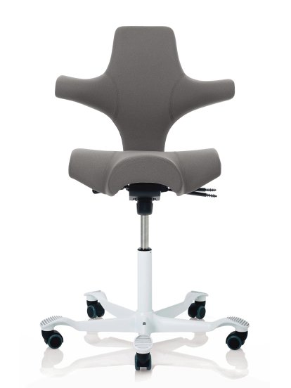 Capisco 8106, Xtreme grey, White