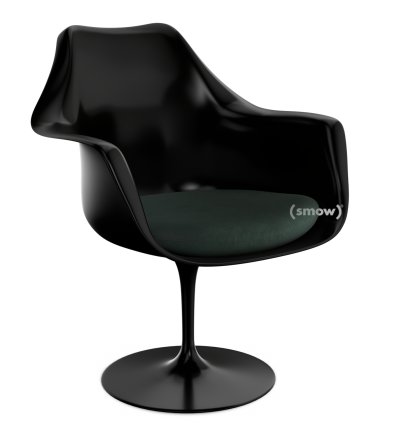 Saarinen Tulip Armchair, Static, Seat cushion, Black, Cactus (Eva 169)