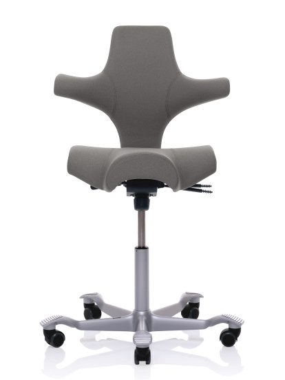 Capisco 8106, Xtreme grey, Silver