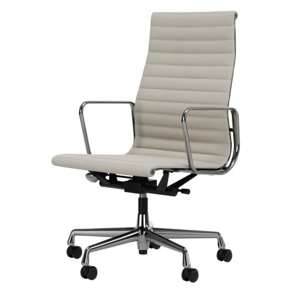 Aluminium Group EA 119, Polished, Leather (Standard), Snow