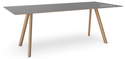 Copenhague Table CPH30, L 200 x W 90 x H 74, Lacquered oak, Linoleum grey